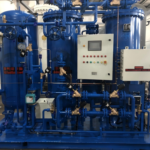 van het Gasonsite van 50Nm3/Hr 99,999% de Stikstofgenerator voor de Wolframindustrie het Ontharden