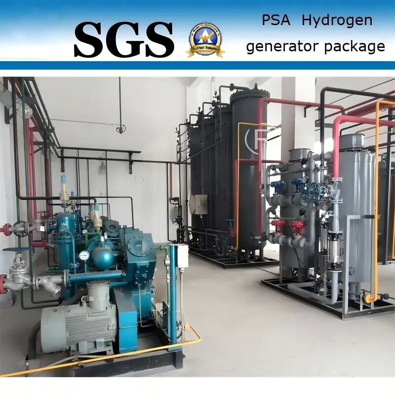 1 KW PSA-waterstofgenerator met 99,99% zuiverheid voor toepassingen in de roestvrij staalindustrie