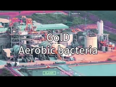 VSA VPSA zuurstofgenerator